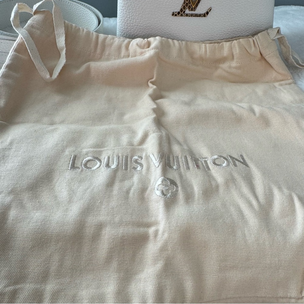 Louis Vuitton Taurillon & Python Leather Capucines Mini Handbag - Picture 16 of 16